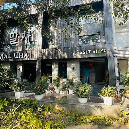 Saltstayz Select - Malcha & Chankyapuri New Delhi Exteriör bild