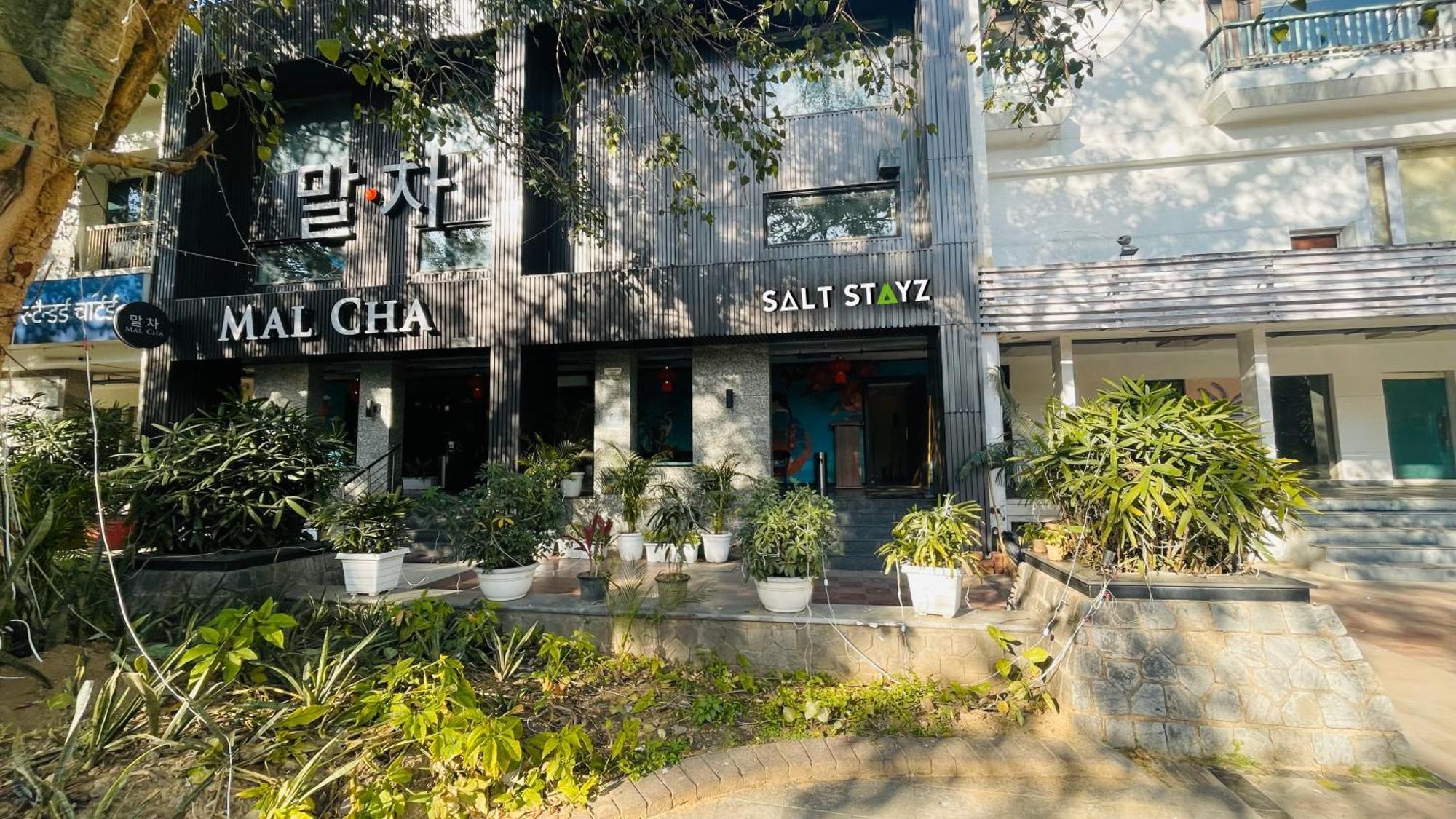 Saltstayz Select - Malcha & Chankyapuri New Delhi Exteriör bild